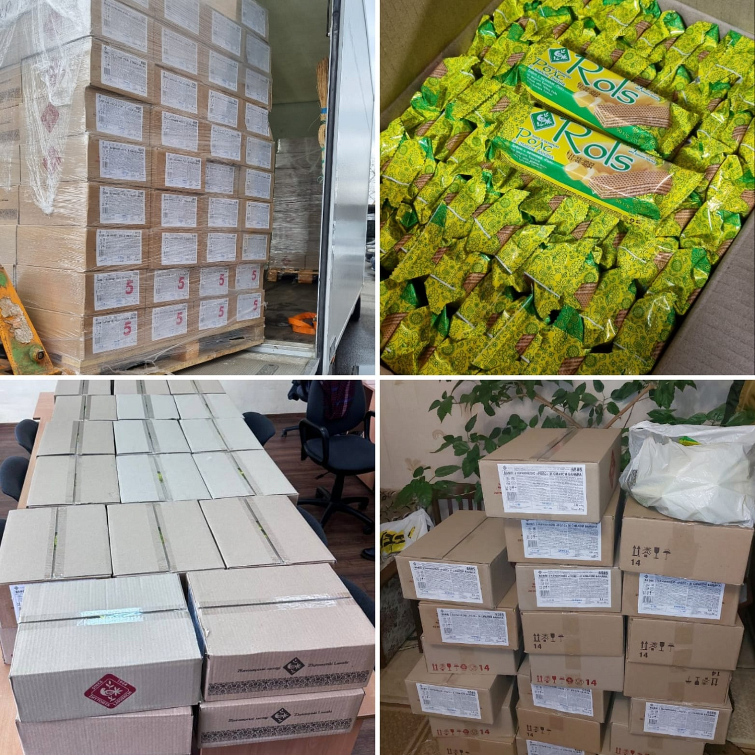 Assistance of the BF "Community Unity"