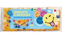  Печиво  затяжне з начинкою «SmileyWorld BISCUITS & BERRIES» чорниця та родзинки, 210г